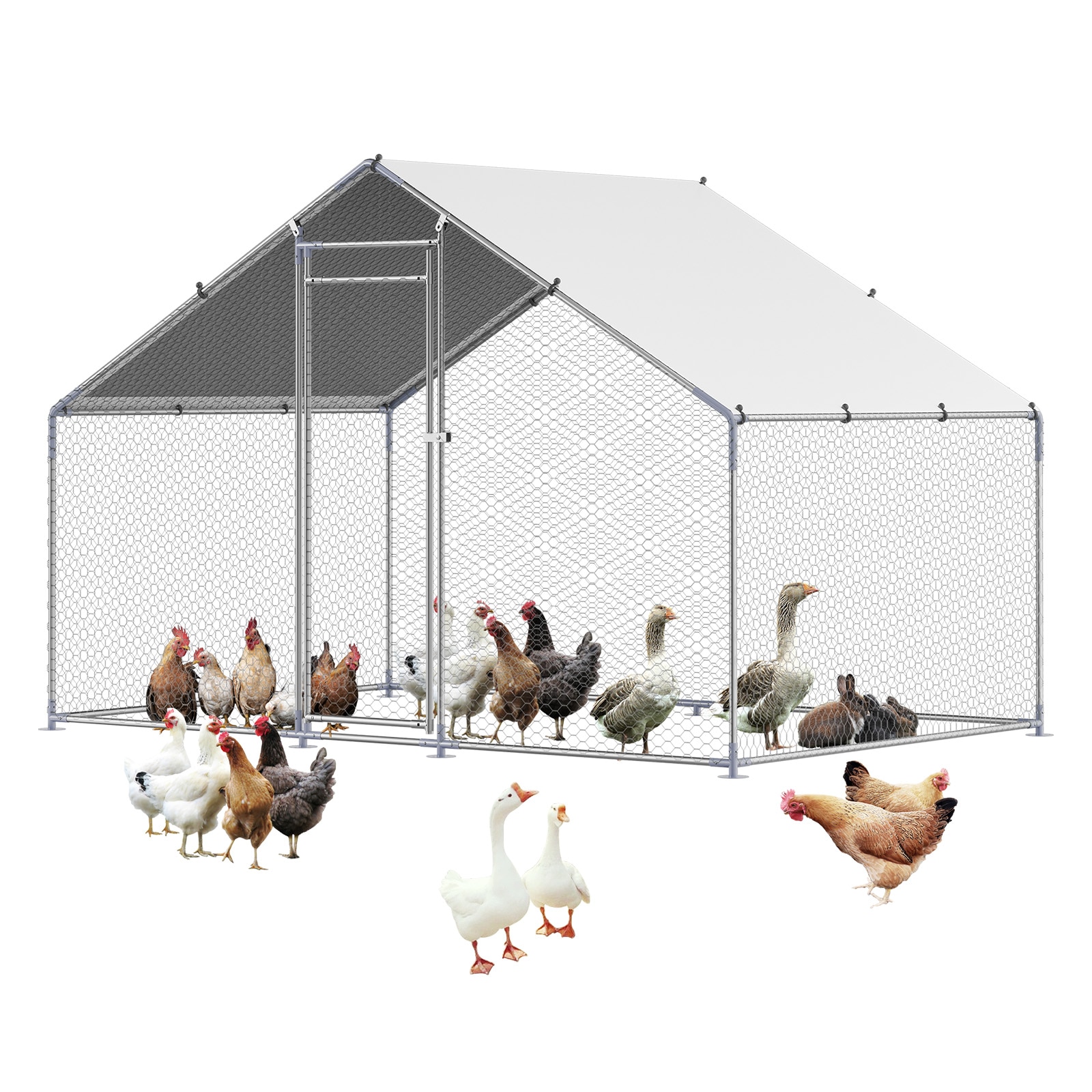 Large Metal Walk-in Chicken Coop With Protective Spire Roof_voghion.com